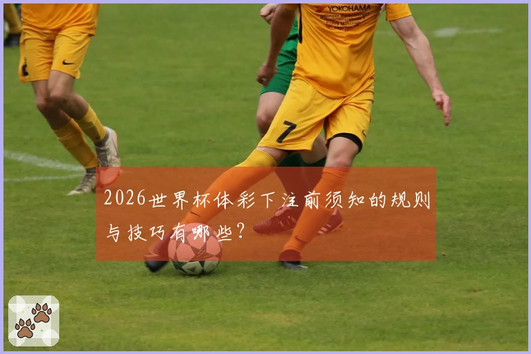 2026世界杯体彩下注前须知的规则与技巧有哪些？