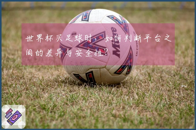 世界杯买足球时,如何判断平台之间的差异与安全性?