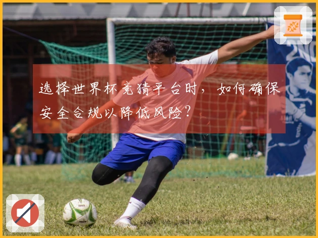 选择世界杯竞猜平台时，如何确保安全合规以降低风险？