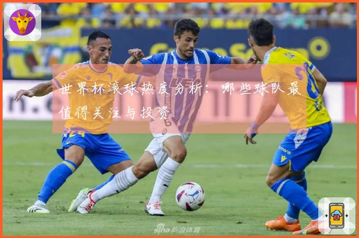 世界杯滚球热度分析：哪些球队最值得关注与投资