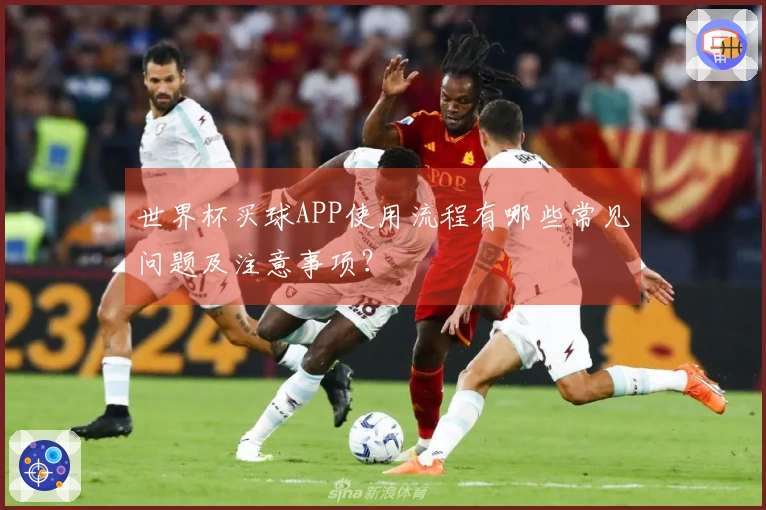 世界杯买球APP使用流程有哪些常见问题及注意事项?