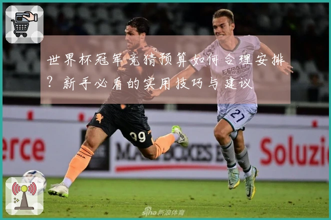 世界杯冠军竞猜预算如何合理安排?新手必看的实用技巧与建议