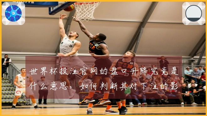 世界杯投注官网的盘口升降究竟是什么意思,如何判断其对下注的影响?