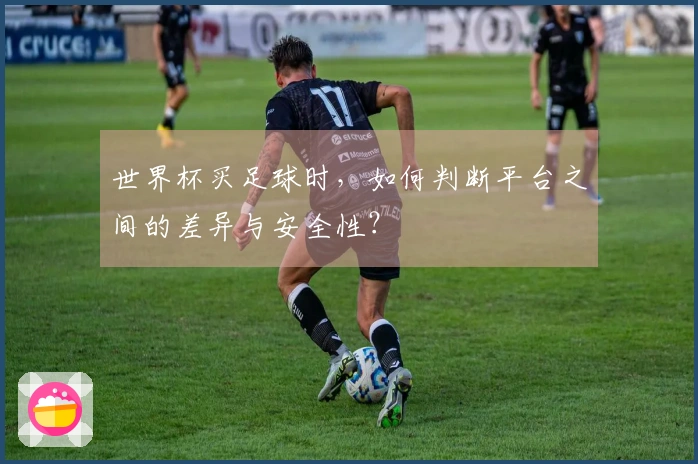 世界杯买足球时，如何判断平台之间的差异与安全性？